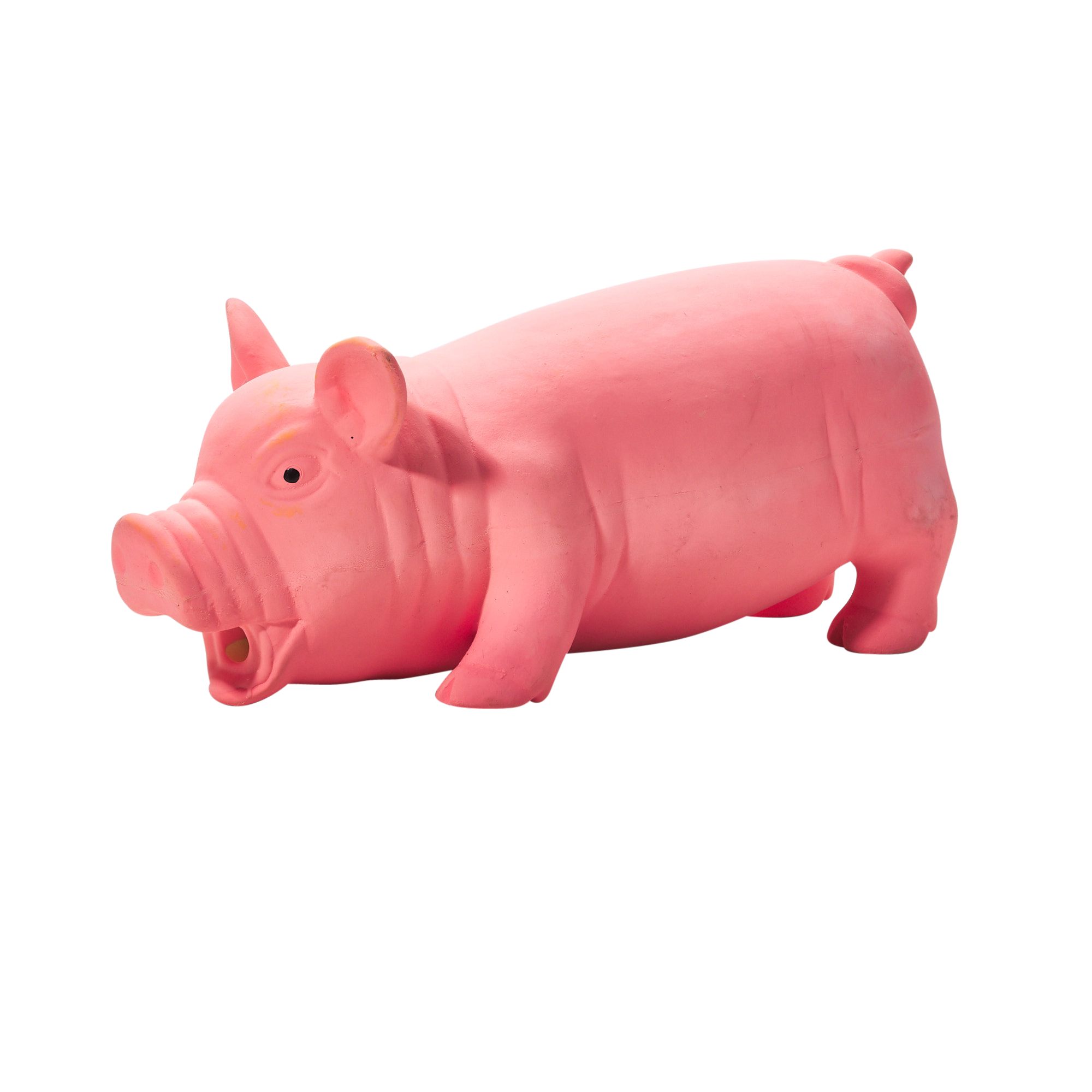 Main St. Pet™ Grunting Pig Latex Dog Toy