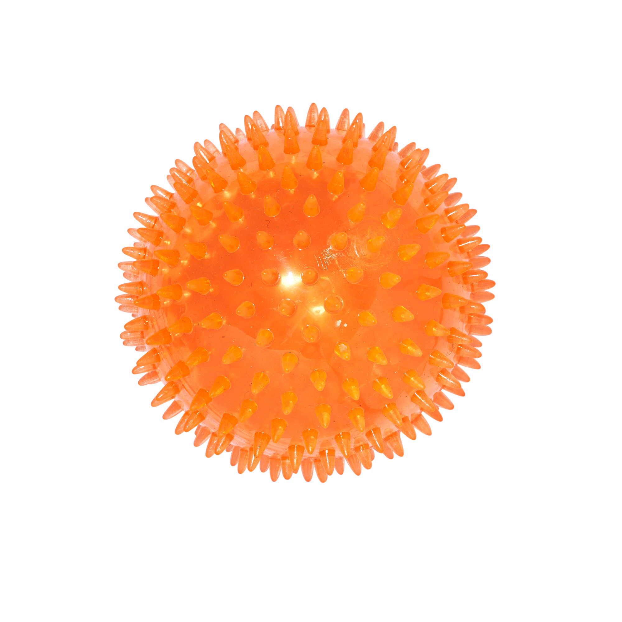 Main St. Pet™ 5" Spiky Bouncy Ball Dog Toy