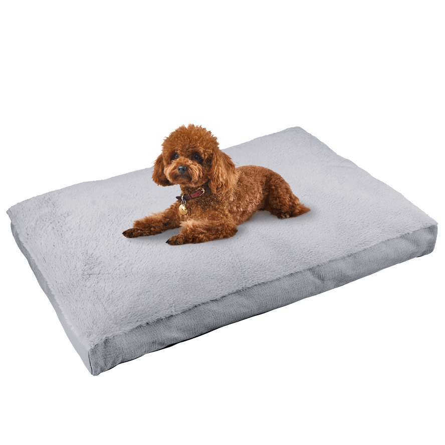 Main St. Pet™ 36"x27" Mattress Bed