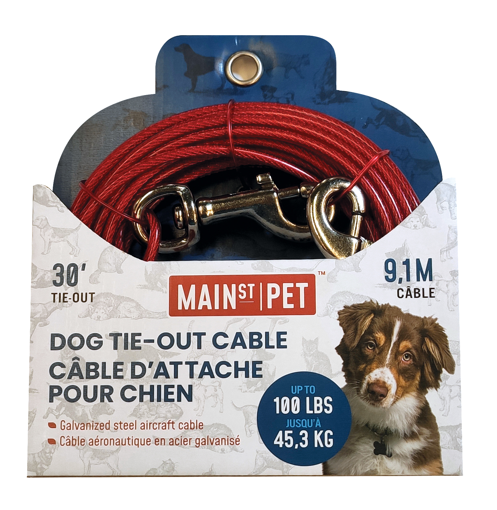 Main St. Pet™ 30 Ft. Dog Tie-Out Cable