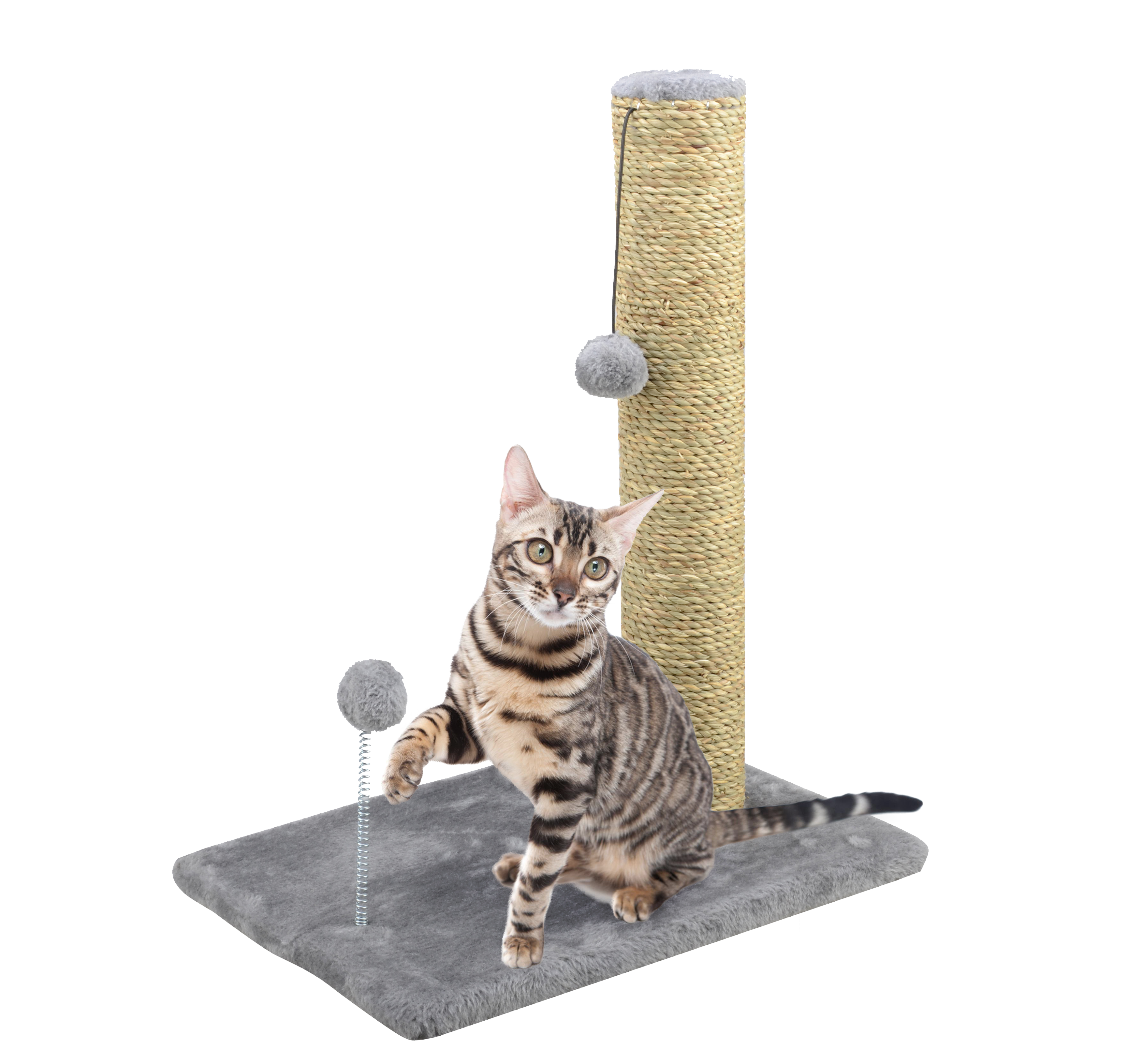 Main St. Pet™ 20" Cat Scratching Post