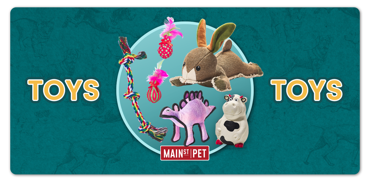 Main St. Pet Toys