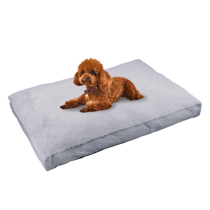 Main St. Pet™ 30"x20" Mattress Bed